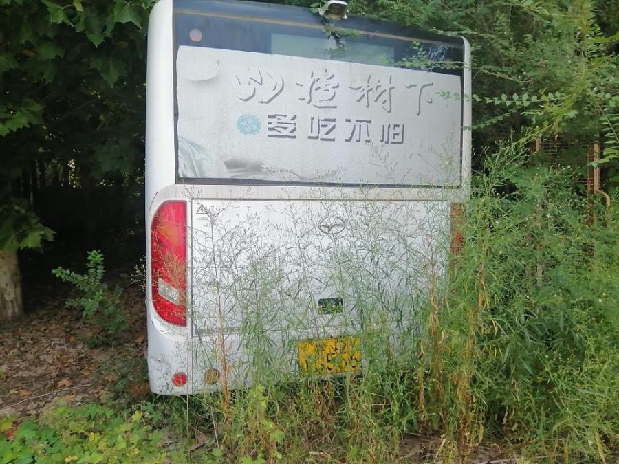 冀DY0556号机动车一辆