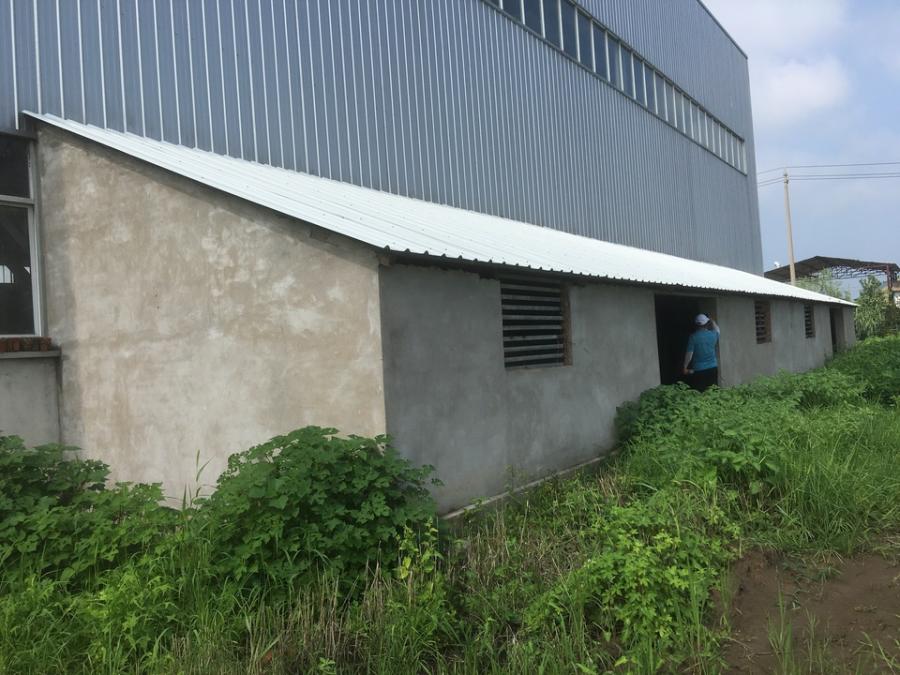 邵伯镇戚墅村的钢结构房屋-3