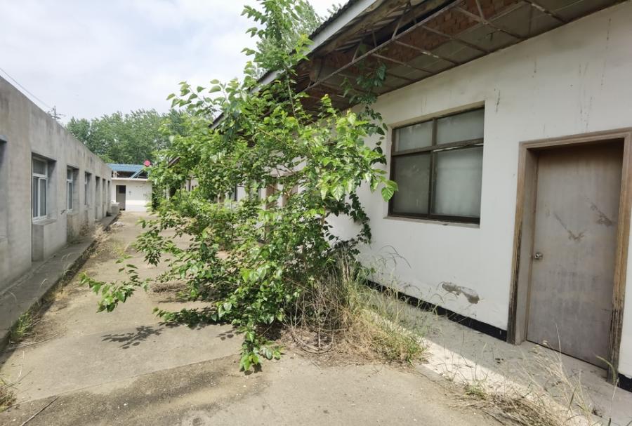 武坚工业园无证土地、建筑、设备等-5